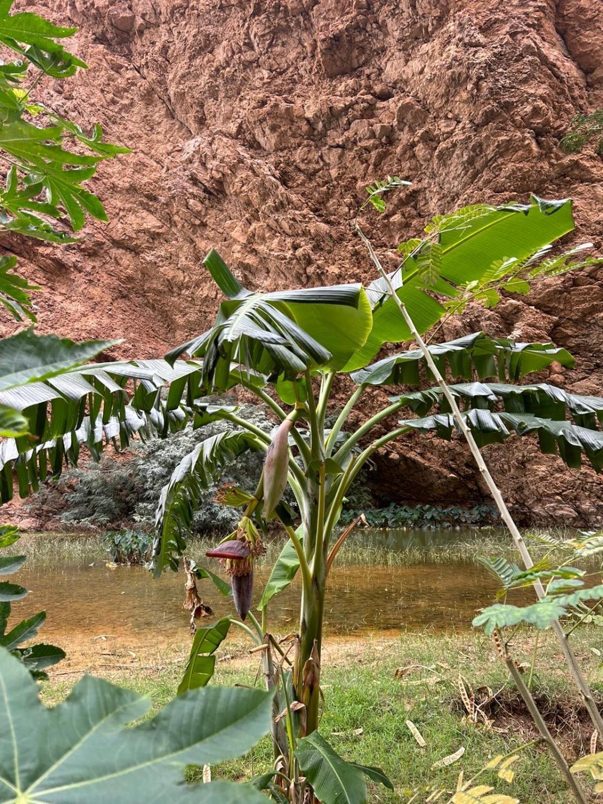 Atlas Wadi Shab Szúr Kültér fotó